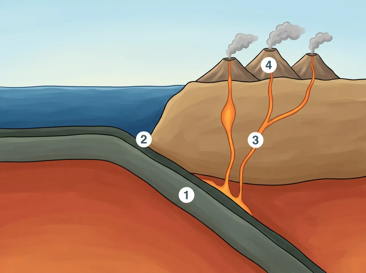 Quand une plaque océanique plonge sous un continent